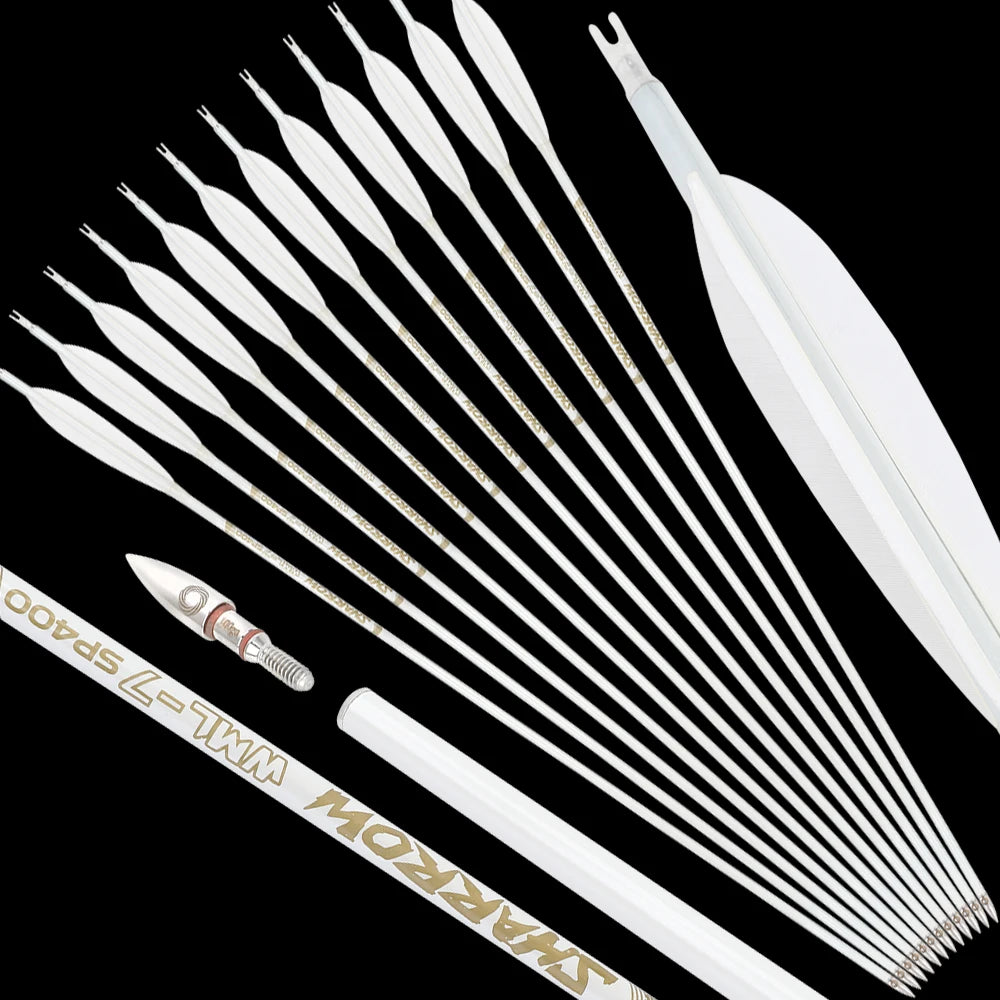 AMEYXGS Pure Carbon Arrows 500 Spine Target Shooting Archery