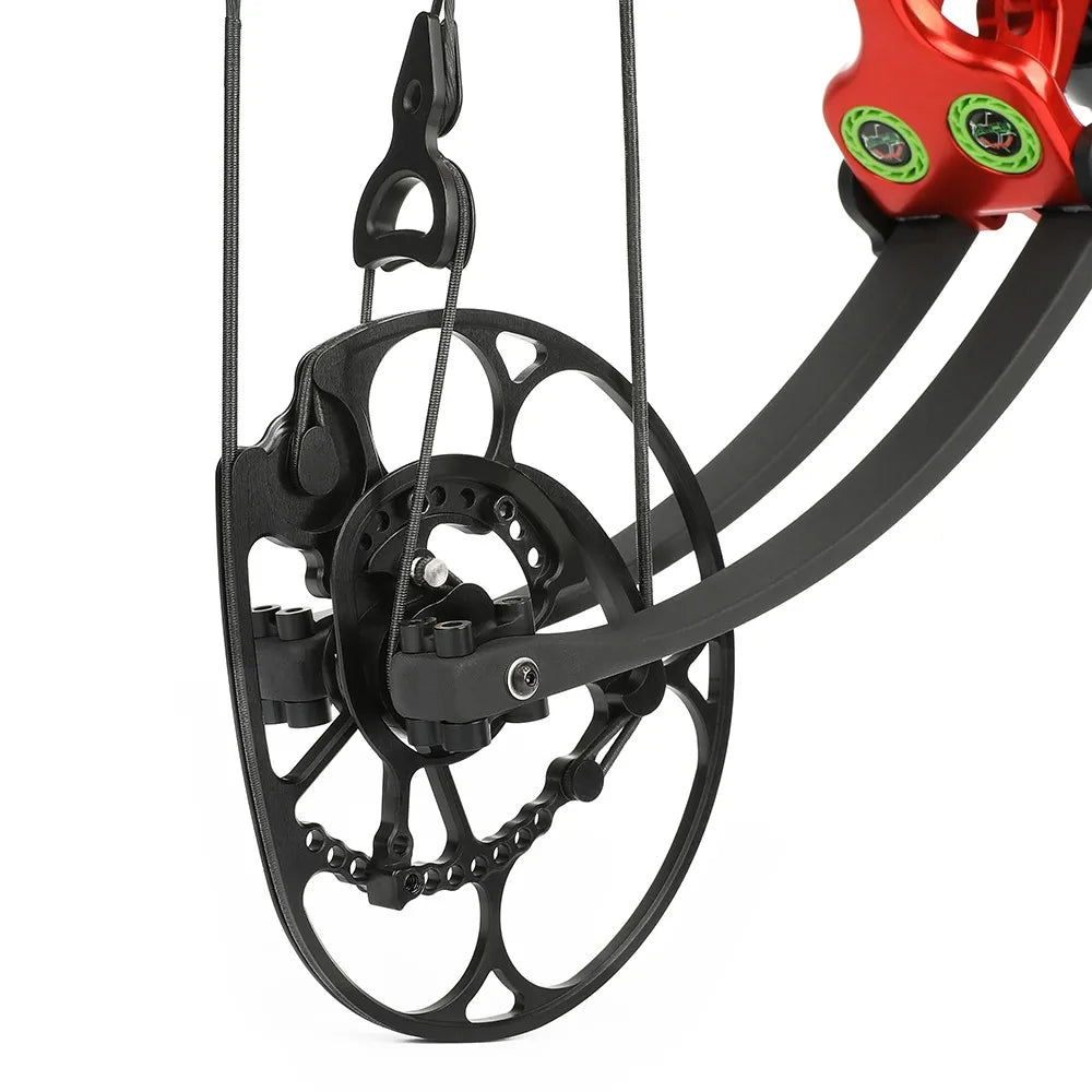 None Compound Bow Set 350FPS 85 Percent Let Off Archery
