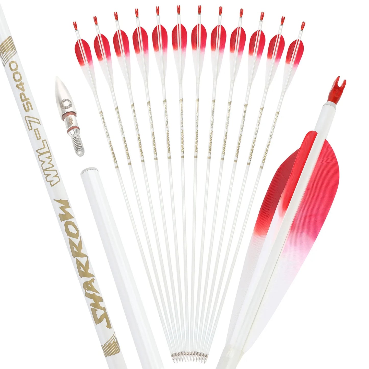 AMEYXGS Pure Carbon Arrows 500 Spine Target Shooting Archery