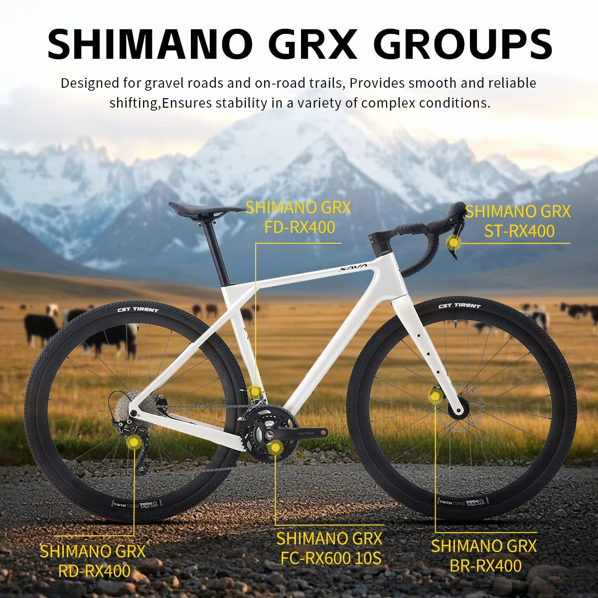 SAVA R21 Gelaro Gravel Bike With GRX 11-20 Speed Gearset
